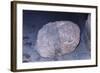 Aztec Artifact Found during Excavation-null-Framed Photographic Print