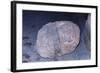 Aztec Artifact Found during Excavation-null-Framed Photographic Print