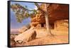 Aztec Butte. Granaries. Utah, USA.-Tom Norring-Framed Stretched Canvas