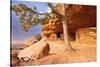 Aztec Butte. Granaries. Utah, USA.-Tom Norring-Stretched Canvas