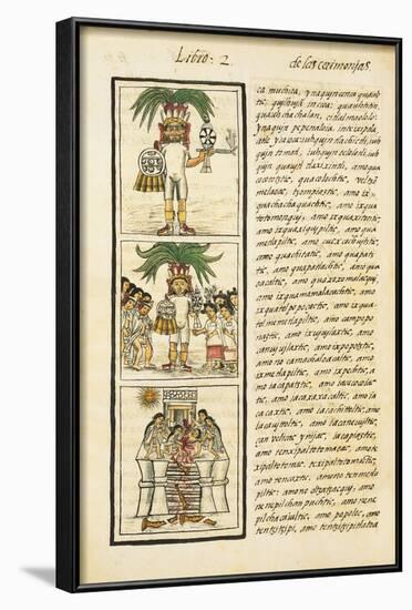 Aztec Chronicles, Priests-null-Framed Art Print
