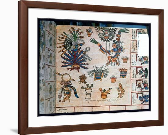 Aztec Codex Borbonicus, "Tonalamatl," Detail Depicting the Goddess Mayahuel-Pre-Columbian-Framed Premium Giclee Print