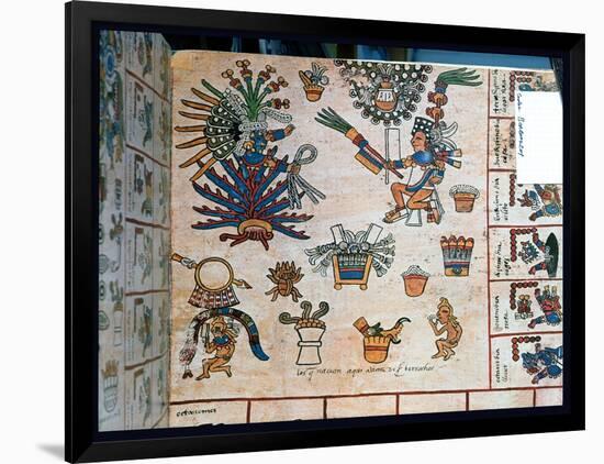 Aztec Codex Borbonicus, "Tonalamatl," Detail Depicting the Goddess Mayahuel-Pre-Columbian-Framed Giclee Print