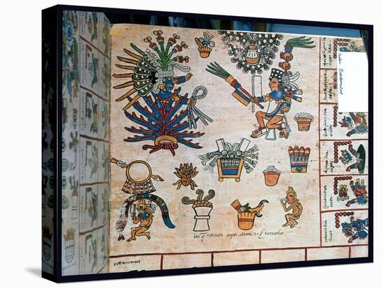 Aztec Codex Borbonicus, "Tonalamatl," Detail Depicting the Goddess Mayahuel-Pre-Columbian-Stretched Canvas