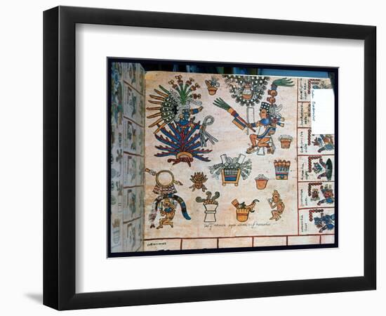 Aztec Codex Borbonicus, "Tonalamatl," Detail Depicting the Goddess Mayahuel-Pre-Columbian-Framed Giclee Print