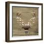 Aztec Deer mate-Jace Grey-Framed Art Print