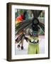 Aztec Indian Dancer, El Pueblo de Los Angeles, Los Angeles, California, USA-Walter Bibikow-Framed Photographic Print