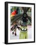 Aztec Indian Dancer, El Pueblo de Los Angeles, Los Angeles, California, USA-Walter Bibikow-Framed Photographic Print