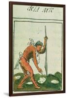 Aztec Man Planting Maize Written and Illustrated by Bernardino De Sahagun, Spanish Mid 16th Century-null-Framed Giclee Print