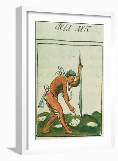 Aztec Man Planting Maize Written and Illustrated by Bernardino De Sahagun, Spanish Mid 16th Century-null-Framed Giclee Print