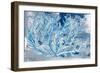 Azul Dotted Coral Horizontal-Gina Ritter-Framed Art Print