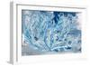 Azul Dotted Coral Horizontal-Gina Ritter-Framed Art Print