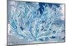 Azul Dotted Coral Horizontal-Gina Ritter-Mounted Art Print