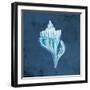 Azul Dotted Seashell on Navy I-Gina Ritter-Framed Art Print