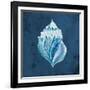 Azul Dotted Seashell on Navy II-Gina Ritter-Framed Art Print