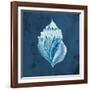 Azul Dotted Seashell on Navy II-Gina Ritter-Framed Art Print