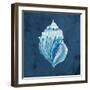 Azul Dotted Seashell on Navy II-Gina Ritter-Framed Art Print