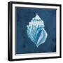 Azul Dotted Seashell on Navy II-Gina Ritter-Framed Art Print