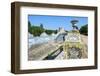 Azulejos of the Tiled Canal, Royal Summer Palace of Queluz, Lisbon, Portugal, Europe-G and M Therin-Weise-Framed Photographic Print