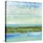 Azure Bound I-Jill Martin-Stretched Canvas