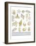 Azure Coastal 3-Kimberly Allen-Framed Art Print