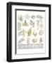 Azure Coastal 3-Kimberly Allen-Framed Art Print