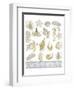 Azure Coastal 3-Kimberly Allen-Framed Art Print