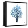 Azure Coral 1-Marcus Prime-Framed Stretched Canvas