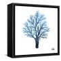 Azure Coral 1-Marcus Prime-Framed Stretched Canvas