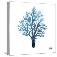 Azure Coral 1-Marcus Prime-Stretched Canvas