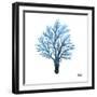 Azure Coral 1-Marcus Prime-Framed Art Print