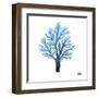 Azure Coral 1-Marcus Prime-Framed Art Print