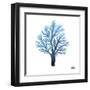 Azure Coral 1-Marcus Prime-Framed Art Print