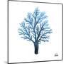 Azure Coral 1-Marcus Prime-Mounted Art Print