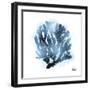 Azure Coral 2-Marcus Prime-Framed Art Print