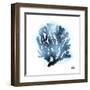 Azure Coral 2-Marcus Prime-Framed Art Print