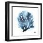 Azure Coral 2-Marcus Prime-Framed Art Print