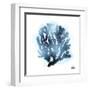 Azure Coral 2-Marcus Prime-Framed Art Print