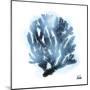 Azure Coral 2-Marcus Prime-Mounted Art Print