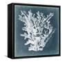 Azure Coral I-Vision Studio-Framed Stretched Canvas