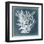 Azure Coral I-Vision Studio-Framed Art Print
