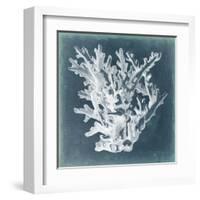 Azure Coral I-Vision Studio-Framed Art Print