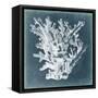 Azure Coral I-Vision Studio-Framed Stretched Canvas