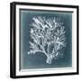 Azure Coral IV-Vision Studio-Framed Art Print