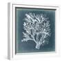 Azure Coral IV-Vision Studio-Framed Art Print