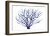 Azure Fan I-null-Framed Art Print