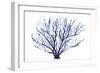 Azure Fan I-null-Framed Premium Giclee Print