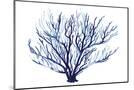 Wood Mount