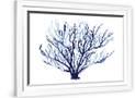 Gramercy White