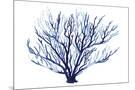 Wood Mount